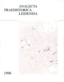 Analecta Praehistorica Leidensia 1998