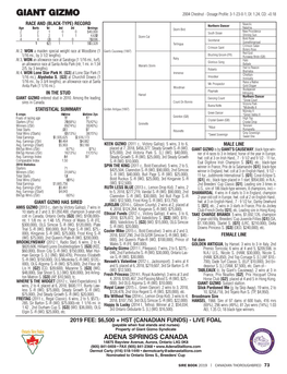 GIANT GIZMO 2004 Chestnut - Dosage Profile: 3-1-23-0-1; DI: 1.24; CD: +0.18