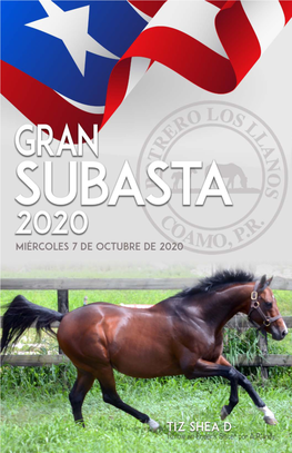 Subasta-Los-Llanos-2020-1.Pdf