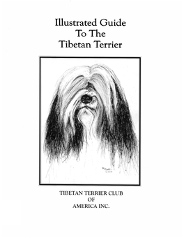 Illustrated Guide to the Tibetan Terrier