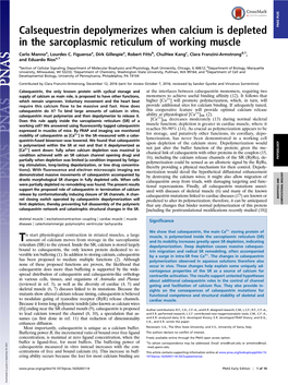 Calsequestrin Depolymerizes When Calcium Is Depleted in The