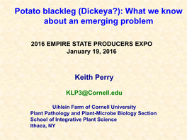 Potato Blackleg (Dickeya?): What We Know About an Emerging Problem