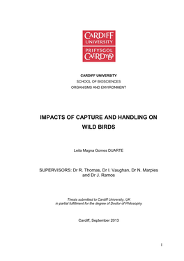 Impacts of Capture and Handling on Wild Birds