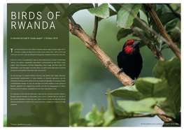 Birds of Rwanda