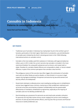 Cannabis in Indonesia Patterns in Consumption, Production, and Policies
