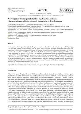 A New Species of Nine-Spined Stickleback, Pungitius Modestus (Gasterosteiformes, Gasterosteidae), from Northern Honshu, Japan