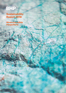 Sustainability Report 2018