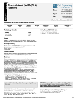 31304 Phospho-Optineurin (Ser177) (E8L9I) Rabbit Mab