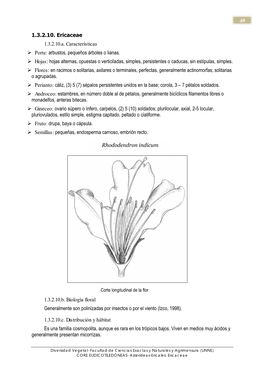 1.3.2.10. Ericaceae 1.3.2.10.A