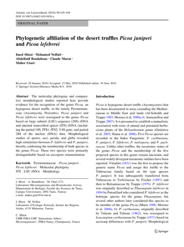 Phylogenetic Affiliation of the Desert Truffles Picoa Juniperi