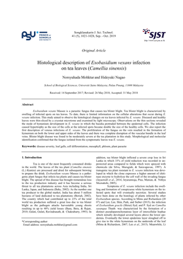 Histological Description of Exobasidium Vexans Infection on Tea Leaves (Camellia Sinensis)