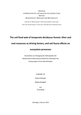 The Soil Food Web of Temperate Deciduous Forests: Litter And