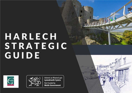 Harlech Strategic Guide ▪ Reporting to Board Are Outlined Below