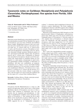 Taxonomic Notes on Caribbean Neosiphonia and Polysiphonia (Ceramiales, Florideophyceae): Five Species from Florida, USA and Mexico