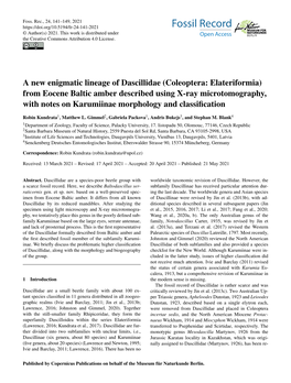 A New Enigmatic Lineage of Dascillidae (Coleoptera