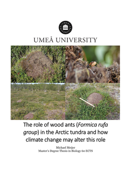 The Role of Wood Ants (Formica Rufa Group) in the Arctic Tundra and How Climate Change May Alter This Role