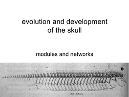 Evolution and Development of the Skull