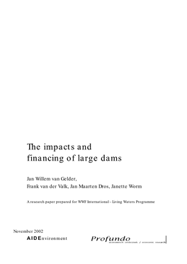 The Impacts and Financing of Large Dams