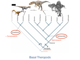 Basal Theropods ~ Therizinosaurs