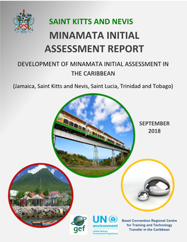 Saint Kitts and Nevis Minamata Initial Assessment Report