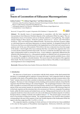 Traces of Locomotion of Ediacaran Macroorganisms