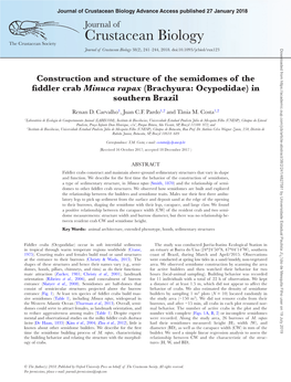 Crustacean Biology Advance Access Published 27 January 2018 Journal of Crustacean Biology the Crustacean Society Journal of Crustacean Biology 38(2), 241–244, 2018