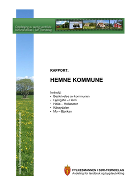 Hemne Kommune