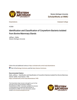 Identification and Classification of Coryneform Bacteria Isolated from Bovine Mammary Glands