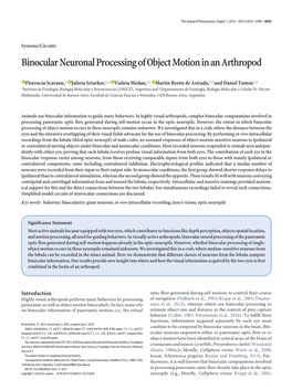 Binocular Neuronal Processing of Object Motion in an Arthropod