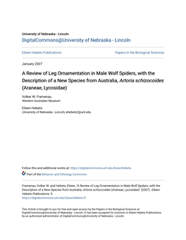 A Review of Leg Ornamentation in Male Wolf Spiders, with the Description of a New Species from Australia, Artoria Schizocoides (Araneae, Lycosidae)