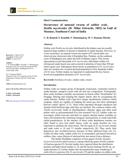 Occurrence of Unusual Swarm of Soldier Crab, Dotilla Myctiroides (H