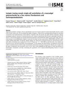 Isotopic Tracing Reveals Single-Cell Assimilation of a Macroalgal Polysaccharide by a Few Marine Flavobacteria and Gammaproteobacteria