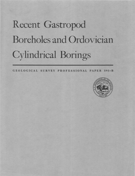 Recent Gastropod Boreholes and Ordovician Cylindrical Borings