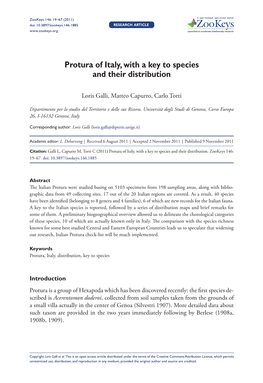 Protura of Italy, with a Key to Species and Their Distribution