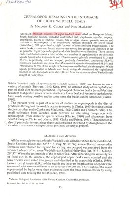 ' Cephalopod Remains in the Stomachs of Eight Weddell Seals