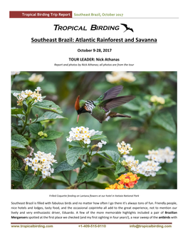 Southeast Brazil: Atlantic Rainforest and Savanna