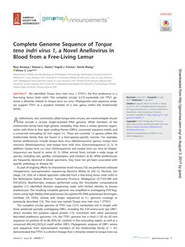 Complete Genome Sequence of Torque Teno Indri Virus 1, a Novel Anellovirus in Blood from a Free-Living Lemur