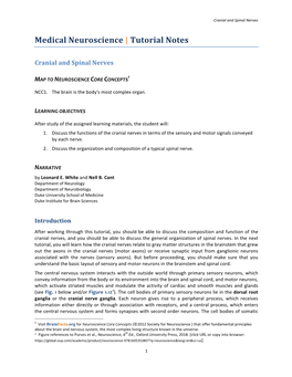 Medical Neuroscience | Tutorial Notes