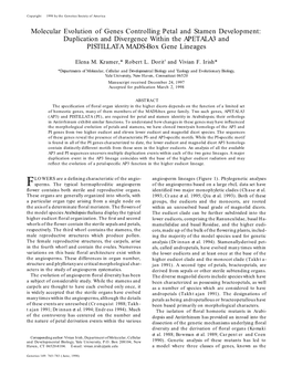 Molecular Evolution of Genes Controlling Petal and Stamen Development: Duplication and Divergence Within the APETALA3 and PISTILLATA MADS-Box Gene Lineages