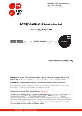 Leiostyla Lamellosa, Madeiran Land Snail