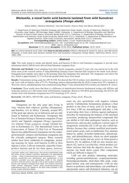 Weissella, a Novel Lactic Acid Bacteria Isolated from Wild Sumatran Orangutans (Pongo Abelii)