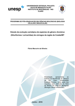 Estudo Da Evolução Cariotípica De Espécies Do Gênero Ancistrus (Siluriformes: Loricariidae) De Córregos Da Região De Cuiabá/MT