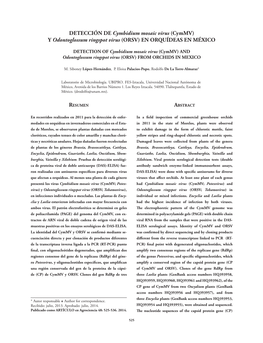DETECCIÓN DE Cymbidium Mosaic Virus (Cymmv) Y Odontoglossum Ringspot Virus (ORSV) EN ORQUÍDEAS EN MÉXICO