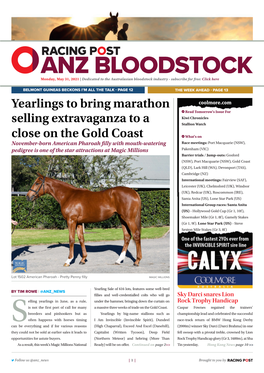 Yearlings to Bring Marathon Selling Extravaganza to a Close on the Gold Coast | 2 | Monday, May 31, 2021