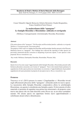 “Spungone” Le Famiglie Rissoidae E Rissoinidae: Addenda Et Corrigenda (Mollusca: Caenogastropoda: Littorinimorpha: Rissoidae, Rissoinidae)