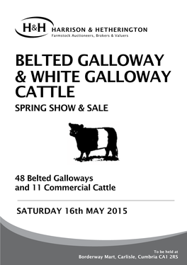 Belted Galloway & WHITE Galloway CATTLE