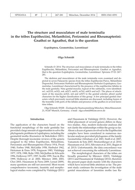 The Structure and Musculature of Male Terminalia in the Tribes Eupitheciini, Melanthiini, Perizomini and Rheumapterini: Gnathoi Or Agnathoi, That Is the Question