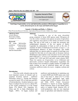 Seed Bugs Graptostethus Servus and Spilostethus Pandurus (Heteroptera: Lygaeidae) As a Newly Attracted Pests on Oil Crops and Bindweed in Egypt