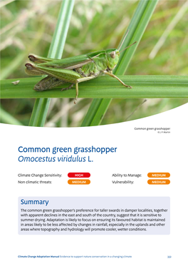 Common Green Grasshopper © J