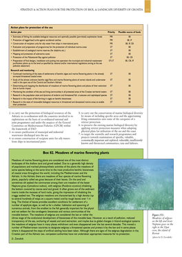 CBD Strategy and Action Plan